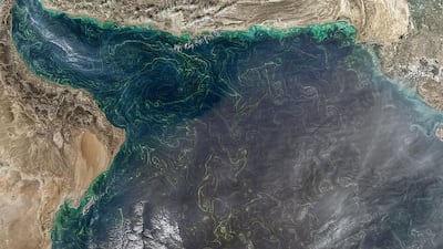 Satellite images show an algal bloom from January last year extending to the Indian Ocean and adjacent countries. Courtesy Ministry of Climate Change and Environment