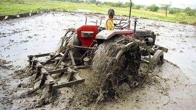 A farmer ploughs a paddy field as the monsoon rains fall. Noah Seelam / AFP