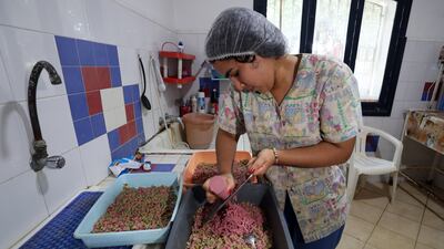 An assistant prepares animal feed
