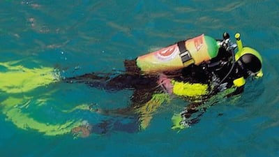 Of the dozens of training organisations worldwide, the biggest is the Professional Association of Diving Instructors (Padi).