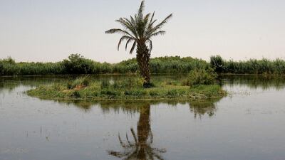 The Azraq reserve is the only home of the endangered Azraq killifish, which was saved from extinction about two decades ago. AFP
