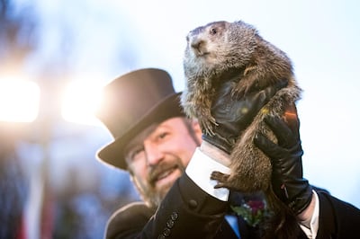 Punxsutawney Phil is held up by his handler for the crowd to see during the ceremonies for Groundhog Day on February 2, 2018 in Punxsutawney, Pennsylvania. Getty Images