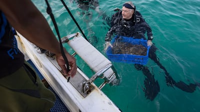 The launch of 'World Unseen 2.0 – Coral Reef Restoration' at the Fujairah Port near Dibba. Antonie Robertson / The National