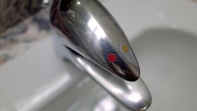 The Mercure Abu Dhabi Centre Hotel has also reduced water bills by 25 per cent a month. Delores Johnson / The National