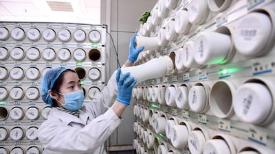 A medical worker producing traditional Chinese medicine electuary at a hospital in Shenyang in China's northeastern Liaoning province. AFP