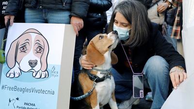 Vivotecnia is alleged to have used more than 30 beagle pups for drug research. EPA