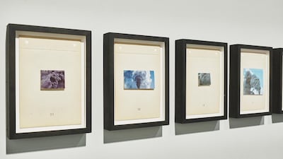 Hajra Waheed’s Plume 1-24, a series of oil flares isolated from their contexts, transform by-products of war into things of beauty, says curator Murtaza Vali.