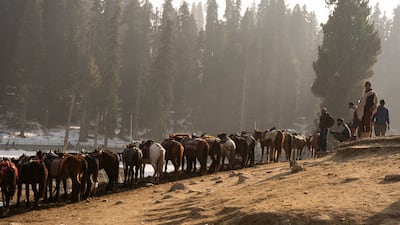 Horses line up with few customers for rides in Gulmarg, Kashmir. Wasim Nabi for The National