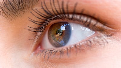 AI technology mounted on an optometrist's camera evaluates a retinal scan to diagnose Alzheimer's disease. Photo: iStockphoto.com