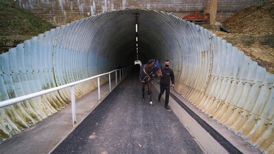 A general view as a runner is led through the tunnel from the stables to the track at Chelmsford City Racecourse in Chelmsford, England. Sporting venues around the UK remain under restrictions due to the Coronavirus Pandemic. Only owners are allowed to attend the meeting but the public must wait until further restrictions are lifted. Getty Images