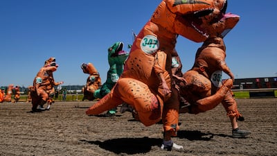 Participants race during a preliminary heat during the "T-Rex World Championship Races" at Emerald Downs, Sunday, June 29, 2025, in Auburn, Wash. (AP Photo / Lindsey Wasson)