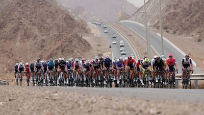 The pack rides during the fifth stage of the UAE Tour from Fujairah Marine Club to Jebel Jais. AFP