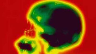 Voter neurons: with his new book, George Lakoff has veered away from his background in linguistics towards dubious talk relating politics to brains, synapses and circuitry.