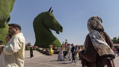 Dubai Miracle Garden is open daily