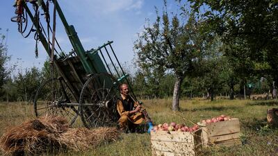 A farmer smokes a traditional hookah as he takes a break at an orchard during the harvest season in Sopore, in Kashmir's Baramulla district. Reuters
