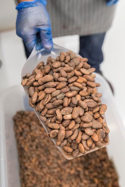 Chocolate is obtained from cacao seeds. Antonie Robertson for The National