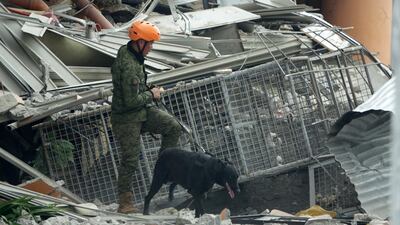 epa07961770 A Filipino K-9 officer inspects a damaged hotel in the aftermath of a 6.5 magnitude earthquake, in Kidapawan city, Cotabato province, Philippines, 31 October 2019. According to the United States Geological Survey (USGS), a 6.5 magnitude earthquake occurred at a depth of 10km near Bulatukan, Cotabato province, on 31 October. It is the third strong earthquake the area has experienced this month. EPA/CERILO EBRANO
