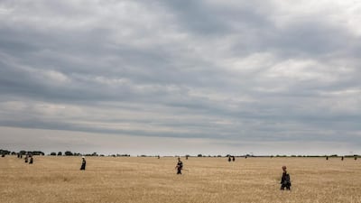 A group of coal miners sweeps a wheat field looking for remnants of Malaysia Airlines flight MH 17 on Saturday in Grabovo, Ukraine. Malaysia Airlines flight MH17 was travelling from Amsterdam to Kuala Lumpur when it crashed killing all 298 on board including 80 children. The aircraft was allegedly shot down by a missile and investigations continue over the perpetrators of the attack. Brendan Hoffman/Getty Images