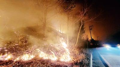 Fire burns ferociously at the side of a road. EPA
