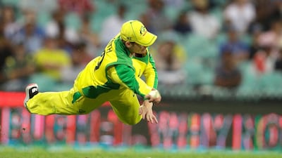 Australia's Steve Smith dives to field the ball during the first ODI against India in Sydney. AP