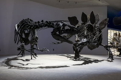 The exhibits have been designed to tell stories. Victor Besa / The National