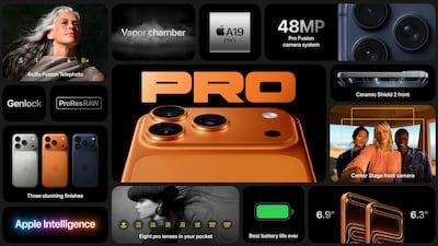 The Apple iPhone 17 Pro and 17 Pro Max both have three cameras that all have 48MP sensors. Photo: Apple