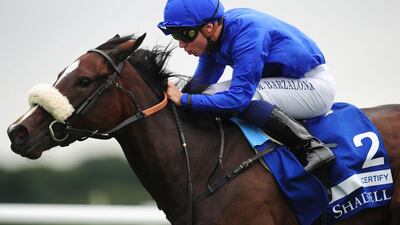 After a stellar 2012 campaign and sitting out all of last season because of a doping ban, Certify will be back in the gates on Thursday night at Meydan Racecourse. Press Association