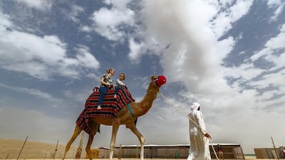The farm first opened in 2016 as a place to host the camels from the Hamdan bin Mohammed Heritage Centre. Chris Whiteoak / The National