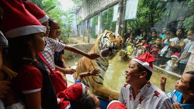 Children react as a Bengal tiger licks the glass surrounding its enclosure during the "Animal Christmas Party", where the youths were treated to a tour of the Malabon Zoo, in Manila. AFP