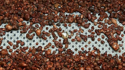 An estimated 7-carat diamond was found in March 2013 near an undisclosed Angolan village not far from the Congolese border. Getty