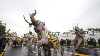 Thai mahouts ride on elephants during a parade to honour the late Thai King Bhumibol Adulyadej outside the Grand Palace in Bangkok, Thailand. Eleven elephants, painted in white, and hundreds of mahouts from the ancient city of Ayutthaya, a United Nations Educational, Scientific and Cultural Organisation World Heritage Site, participated in the parade. Rungroj Yongrit / EPA
