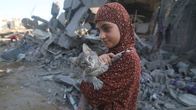 A Palestinian girl rescues her cat from the rubble of destroyed buildings after Israeli air strikes in Rafah. AP