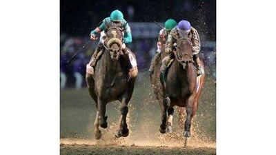 Blame, right, denied Zenyatta, left, from winning her 20th race in as many starts in the Breeders' Cup Classic in Kentucky in November. However, Zenyatta is still favourite to be named Horse of the Year. Andy Lyons / AFP