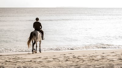 It is the first resort in the Maldives to offer horse riding