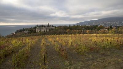 A view of a vineyard of the state-owned Massandra winery in Yalta, Crimea. Massandra has lost a 30-acre plot of land in a popular resort town to the local authorities. Alexander Zemlianichenko / AP Photo