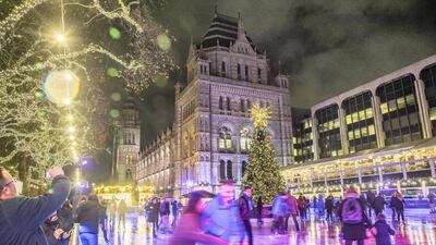 The Natural History Museum, Christmas 2019. Getty Images