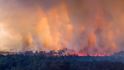 A wildfire rages in the village of 't Harde in the Netherlands. EPA