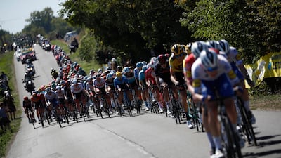 The peloton during Stage 11. Reuters