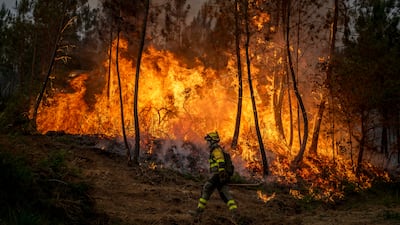 A firefighter works to contain a blaze in Galicia, Spain. EPA