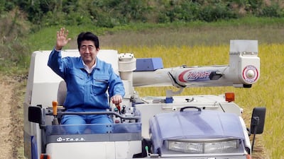 This file photo taken on September 17, 2014 shows Japanese Prime Minister Shinzo Abe driving a combine harvester to crop rice plants in the town of Hirono in Fukushima prefecture. AFP