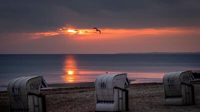 A seagull flies over beach chairs at the Baltic see in Timmendorfer Strand, northern Germany. To avoid the outspread of the Coronavirus all accommodations for tourists are closed, only day trippers are allowed. AP Photo