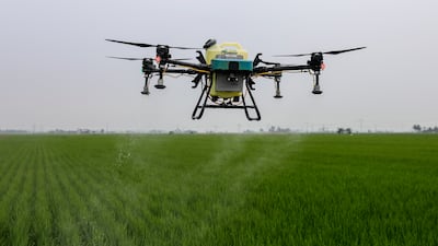 A drone sprays pesticide on paddy fields in Sekinchan, Malaysia. EPA