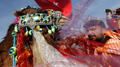 A decorated camel is shown to spectators by its owner. Reuters