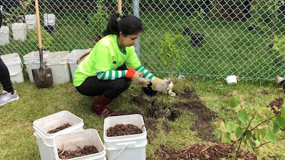 Kehkashan Basu's Green Hope Foundation has run several initiatives, from tree planting to beach clean-ups and mangrove conservation. Photo: Green Hope Foundation