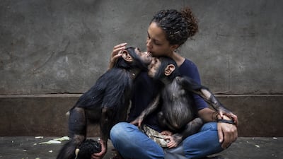 The healing touch, from Community care by Brent Stirton, showing a the director of a rehabilitation centre caring for chimpanzees orphaned by the bushmeat trade sitting with a newly rescued chimp, won Wildlife Photographer of the Year: Photojournalist Story Award. Brent Stirton / Wildlife Photographer of the Year