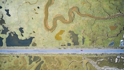 Road to ruin by Javier Lafuente, showing the stark, straight line of a road slicing through the curves of the wetland landscape, won Wildlife Photographer of the Year: Wetlands The Bigger Picture Award. Javier Lafuente / Wildlife Photographer of the Year