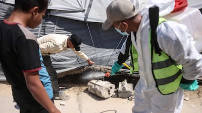 Municipal workers spray tents in a displacement camp in Khan Younis, southern Gaza, to eliminate insects and other pests. AFP