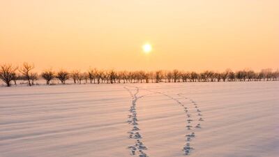 'Winter sunset', Ivica Brlic: 'The weather conditions of that day were changeable: it was sunny, cloudy, windy, stormy … The photo shows a part of these weather conditions.'
