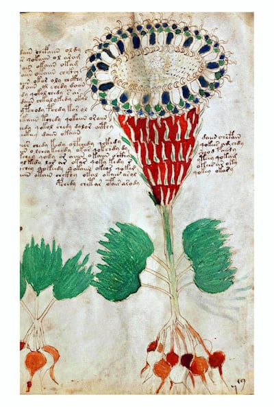 No one has been able to decipher the unknown language the Voynich manuscript is written in. Getty Images