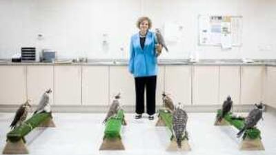 Dr Margit Muller at the Abu Dhabi Falcon Hospital. "Falcons are special," she says. "They are very individual characters."
